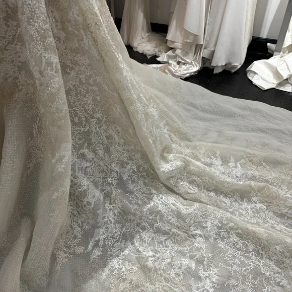 Tony Ward Elegant Lace Wedding Gown